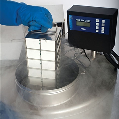 氣相液氮罐 氣相液氮罐